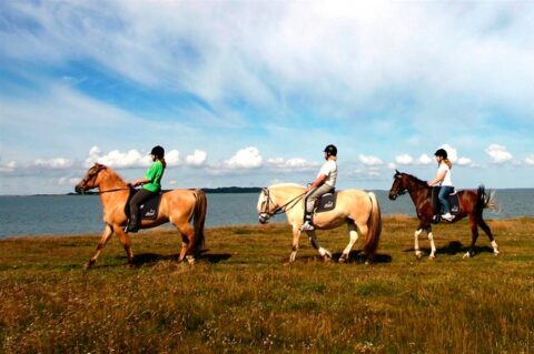 balade-cheval-centre-equestre-saint-jean-de-monts