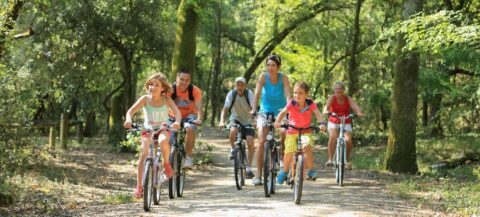 balade-velo-foret-saint-jean-de-monts