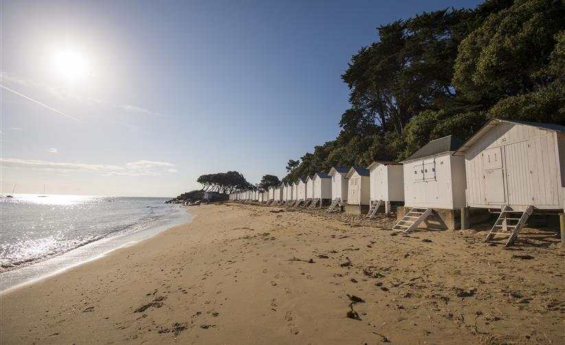 visites-ile-noirmoutier-vendee-85