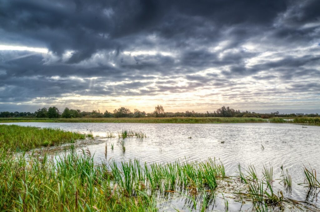 Marais vendéen | Les Places Dorées