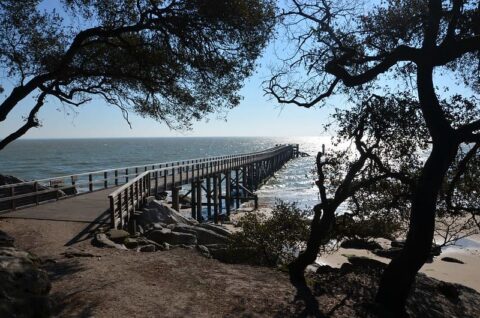 Bois de la Chaise Noirmoutier | Les Places Dorées