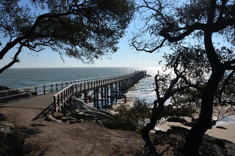 Bois de la Chaise Noirmoutier | The Golden Squares