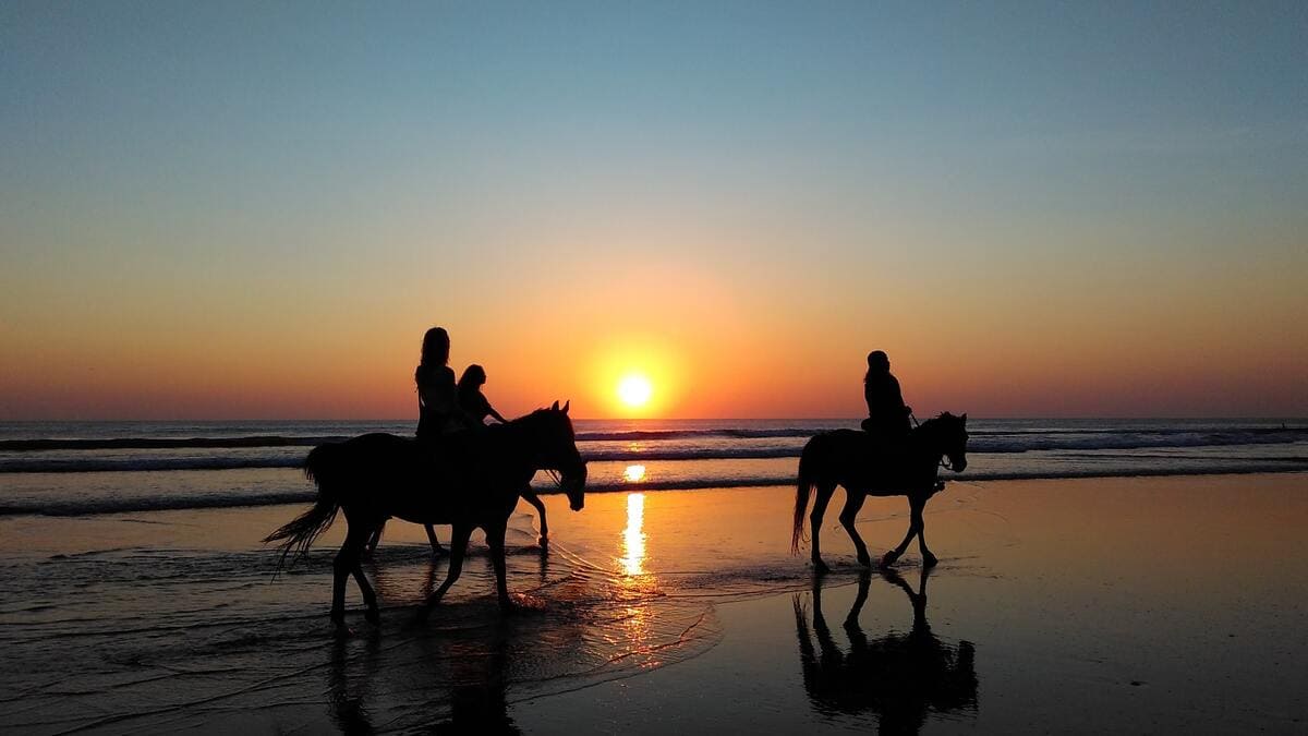 Équitation à Saint-Jean-de-Monts | Les Places Dorées