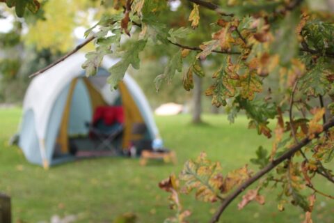 4 star campsite in Saint-Jean-de-Monts | The Golden Squares