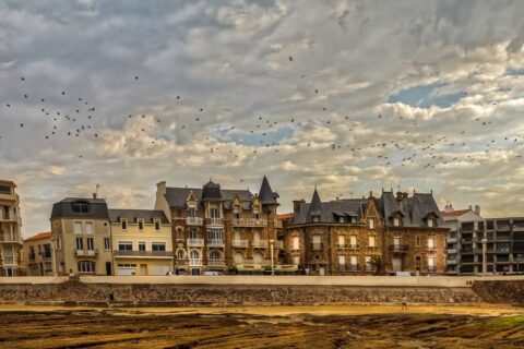 Campingbestemming in Vendée | De Gouden Pleinen