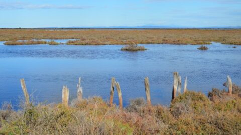 Marais Salants de la Vie | Les Places Dorées