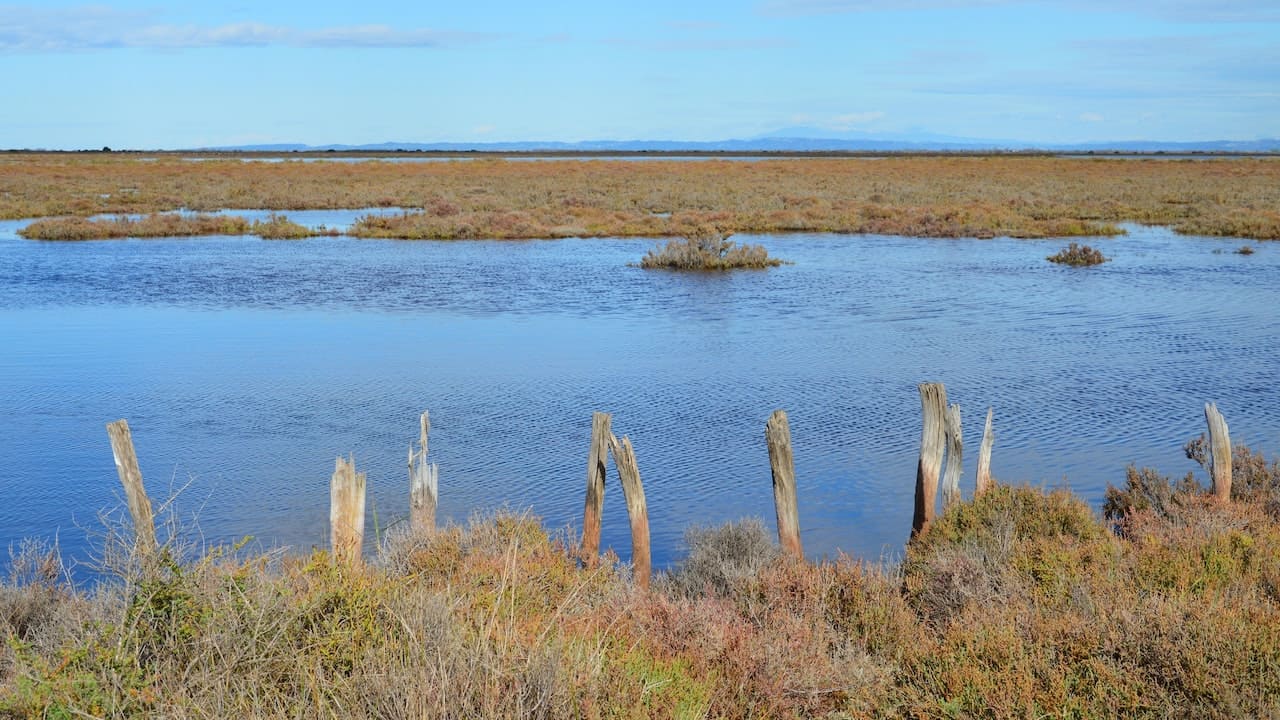 Marais Salants de la Vie | Les Places Dorées