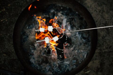 Camping écologique Saint-Jean-de-Monts | Les Places Dorées