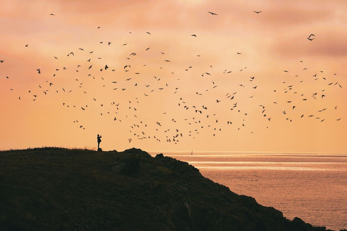 Visiter l'Ile d'Yeu en une journée | Les Places Dorées